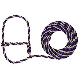 Weaver Leather Livestock Stierwalt Breaking Halter, Purple/Black/Gray, 8 1/2'