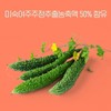 Charm goods Berberine barberry fruit extract tablets unripe bitter gourd