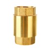 SUPERTOOL Spring Check Valve DN32 1 1/4 Inch Single Check