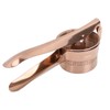 Lemon Squeezer Stainless Steel Long Handle Hand Held Juice Press
