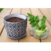Gardenera Premium Potting Soil Blend for Celery - The Ultimate