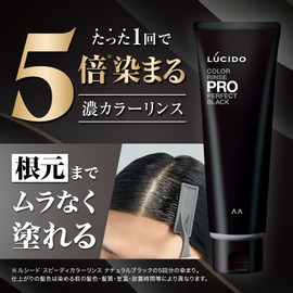 Lucido Color Rinse PRO Perfect Black Hair Dye Treatment, 4.2 oz (120 g)