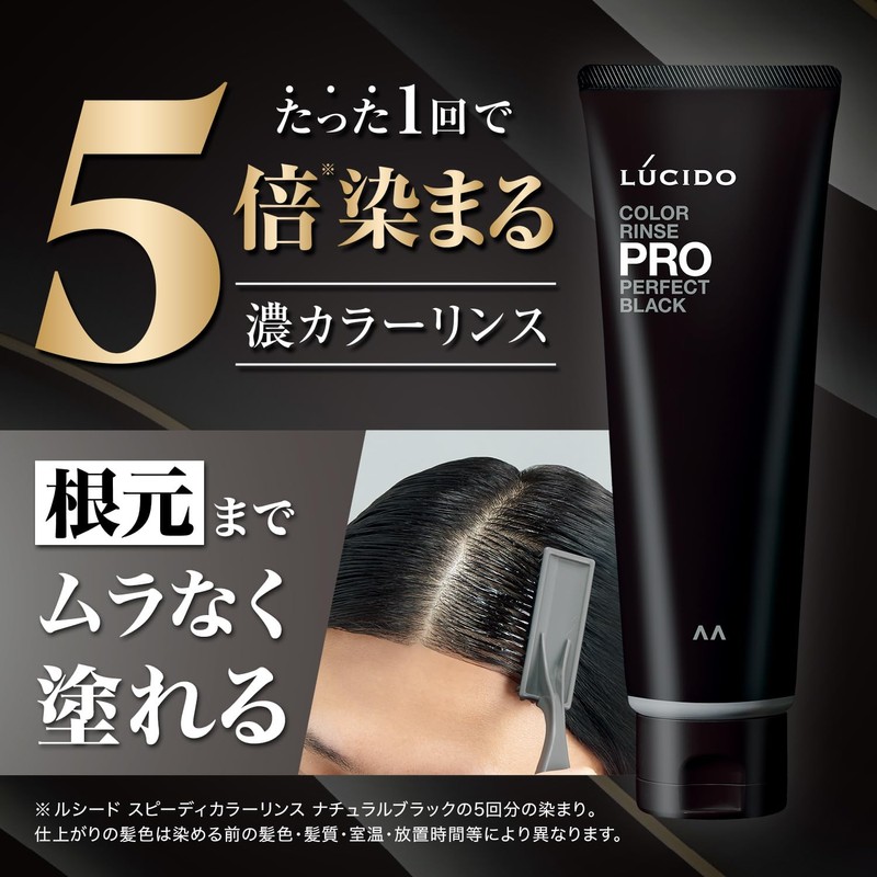 Lucido Color Rinse PRO Perfect Black Hair Dye Treatment, 4.2