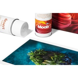 Moab Desert Varnish UV Lacquer Spray to Protect Fine Art Inkjet Prints, 400ML Can