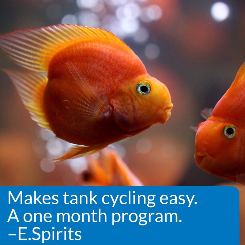 API AQUARIUM START UP PACK Water Conditioner 1.25-Ounce Bottle 2-Pack