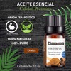 Aceites Esenciales de Canela Aromaterapia - Natural 100% de Aceite