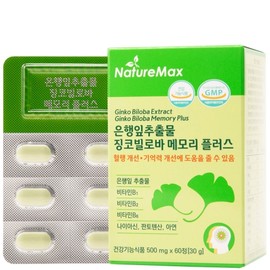 NatureMax Ginkgo Biloba Extract Memory Plus 500mg 60 Tablets / 네이처맥스 은행잎추출물 징코빌로바 메모리 플러스 500mg x 60정