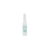 Clamp Ampoule with Sea Colages - Box of 12 Bulbs