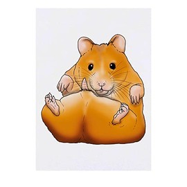 'Hamster On It's Back' Temporary Tattoo - Water Resistant, Skin-Safe, Non-Toxic Transfer (TO00046742)