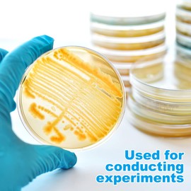 Zerodeko 10pcs Prepoured Agar Plates 2.75 Inch Petri Dishes with Nutrient Agar, Sterile Lab Petri Plates for Microbiology, Science Experiments and Mycology