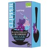 Clipper Organic Herbal Tea, Blackcurrant & Blueberry, 20P