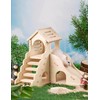 Taicols Wooden Hamster Maze Villa with Slide & Seesaw -
