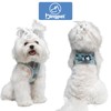 Dog Harness, Collar, Lead Set, Chest Harness, Check Design, Handle