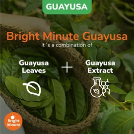 Bright Minute Guayusa infusion 50 teabags | Coffee Alternative & Addition | 55mg of natural caffeine per small 1.5G (0.05OZ) bag, Calm and Wakeful Energy Boost!
