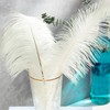 Piokio 20 pcs Natural White Ostrich Feathers 12-14 inch(30-35 cm)
