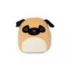 Squishmallows Squishmallow Prince the Pug 8" plush (new with tag)
