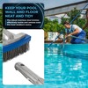 BlueStars Heavy Duty 5in Swimming Pool Brush with Stainless Steel