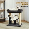 Hoopet 20-Inch Cat Tree Tower, Small Cat Scratching Post for