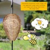 Qualirey 3 Pcs Mini Wasp Nest Decoy, 6x7 Inch Waterproof