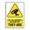 2 x 25cm Tall Funny Security Camera Sign Vinyl Stickers