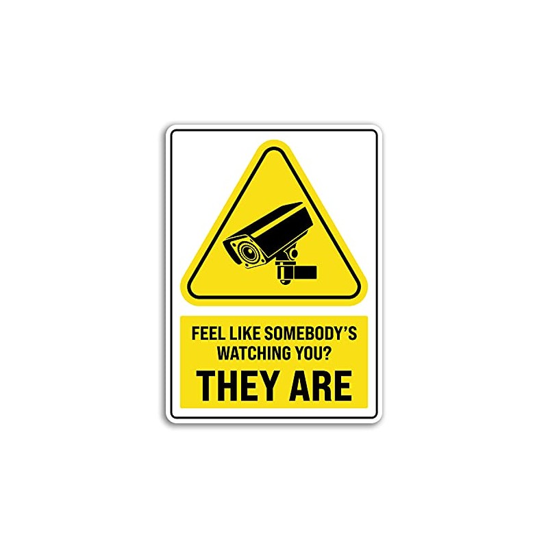 2 x 25cm Tall Funny Security Camera Sign Vinyl Stickers
