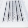 EMEDA Volume Eyelashes D Curling 2 Compartments 8 9 10