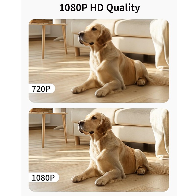 Denash Dual Lens Security Camera, 1080P HD Wireless with 355°
