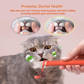 6Pcs Cat Catnip Toys for Indoor Kitten Cat, Scratch Interactive Cat Toy with Catnip, Cotton Rope Silvervine Chew Toys, Cleaning Teeth Stick Cat Dental Care, Cat Kicker Toys for All Age& Breeds