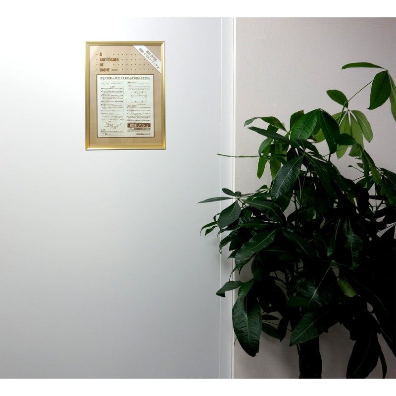 Kokuyo, Picture Frame