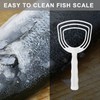 BOLEXION White Poly Bone Dust Scraper, Meat & Fish Scraper,