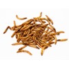 5Lbs Chubby NA Grown Dried Mealworms - Chicken/Duck Treats -