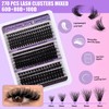 LYMYBETY Fluffy Individual Eyelashes Kit 270Pcs D Curl Cluster Lashes