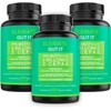 Gut it Probiotic Suplemento Natural Probióticos, Prebióticos, Enzimas Digestivas, Citrato