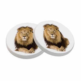 oFloral Wild Lion Coasters for Drinks Animal King in Woods Sharp Eyes Cups Place Mats for Home Decor Set of 2, 4 Inch