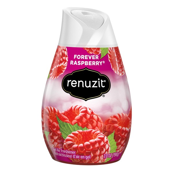 Renuzit Adjustables Gel Air Freshener, Raspberry, 7 ounce
