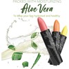 Magic Kiss Juego De 6 Pintalabios Con Aloe Vera Que