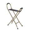 Drive Medical RTL10360 Foldable Walking Cane with Seat, Bronze