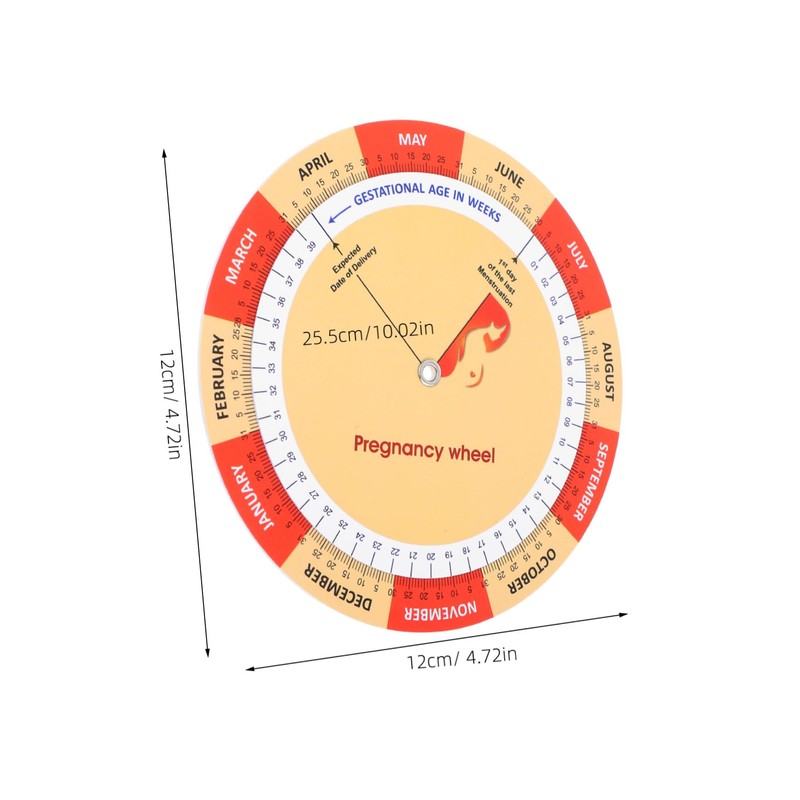 Baluue 2pcs Pregnancy Tracker: Fetal Development Chart Color Printed Paper