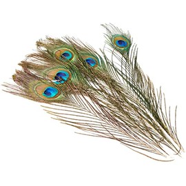 Efco 1003410 Peacock 200-300 mm 5 pcs, Feathers, Green, 12 x 5 x 2 cm