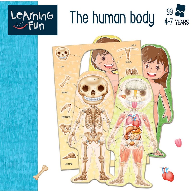 Educa 18842 Learning is Fun, The Human Body, Educational Game