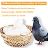 aleawol Pack of 50 Fake Pigeon Eggs, Solid Plastic Pigeon