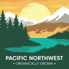 Wilderness Poets, Organic, Pacific Northwest-Grown Hazelnuts - Raw, Whole Nuts