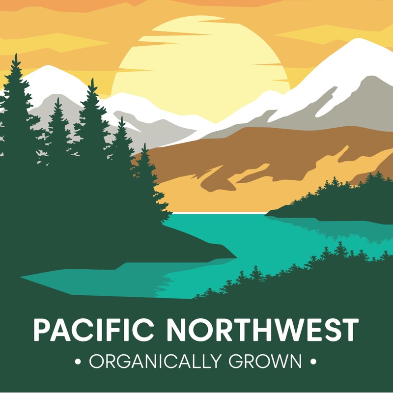 Wilderness Poets, Organic, Pacific Northwest-Grown Hazelnuts - Raw, Whole Nuts