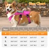 VOOPET Escape Proof Dog Harness, Soft Padded Full Body Pet