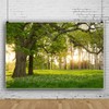 Leowefowa 5x3ft Spring Backdrop Rural Forest Trees Backdrops for Photography