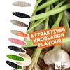 Zite Fishing Attracta Larv Floating | Pack of 8 Flavoured