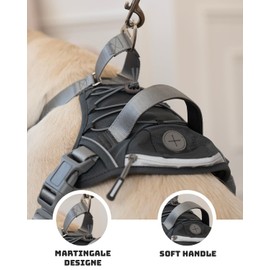 DF No Pull Martingale Dog Harness, Easy Walking & Comfortable Control, Reflective & Adjustable Fit, No Twist Front Clip Harness with Handle and Zippered Pockets, Gray, 3/4", Chest 17"-22"