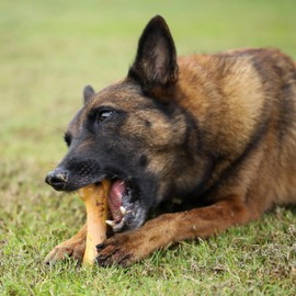 Tikaton Dog Chew Toys for Aggressive Chewers, Chicken Flavor Durable Dog Teething Chew Toys Bones for Large/Medium/Small Puppies