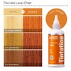 Kiss Tintation Semi-Permanent Hair Color 5 Ounce, T740 Rose Gold