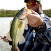 THKFISH Fishing Rigs Texas Rig 5 Pieces Leader Rigging Leader
